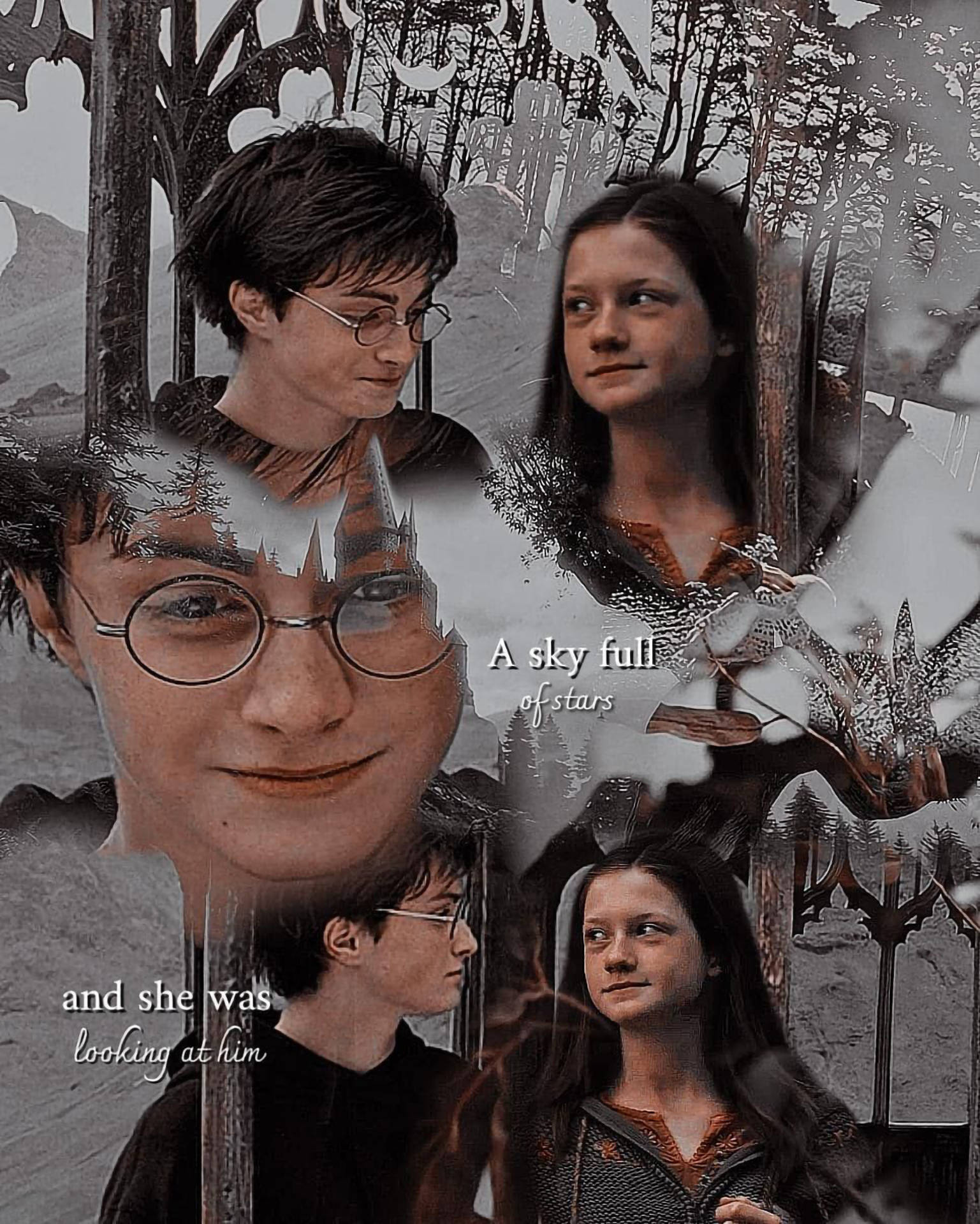 Aesthetic Harry Potter Wallpaper