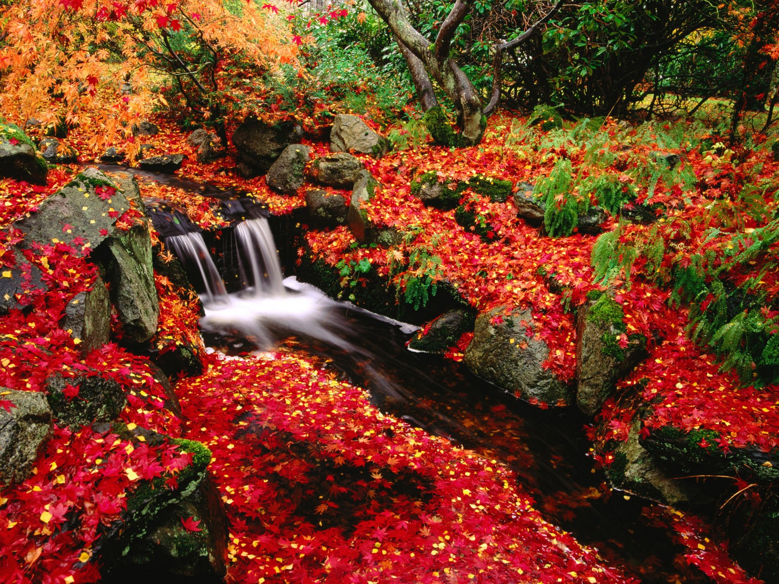 Japan HD Wallpaper