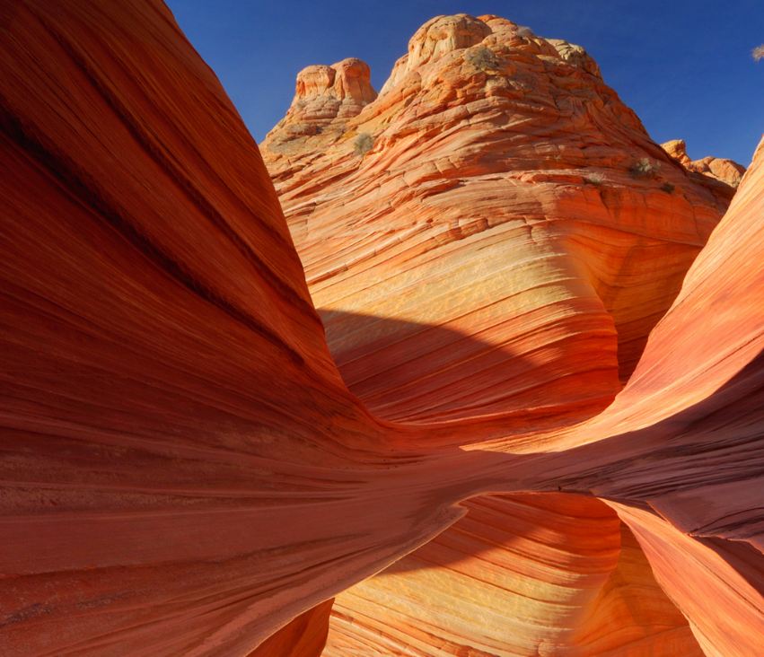 Free download How to reset Windows Update on Windows 10 to fix