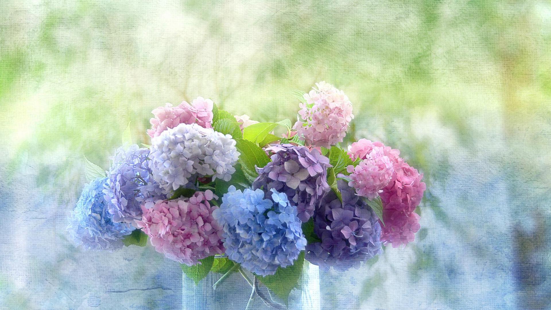 Khung cảnh hoa cẩm tú cầu sẽ khiến bạn mê mẩn bởi sự huyền bí màu xanh dịu dàng hoặc những sắc tím lãng mạn. Hãy tìm hiểu về cách tạo ra những bức hình tuyệt đẹp với nền hoa cẩm tú cầu này.
