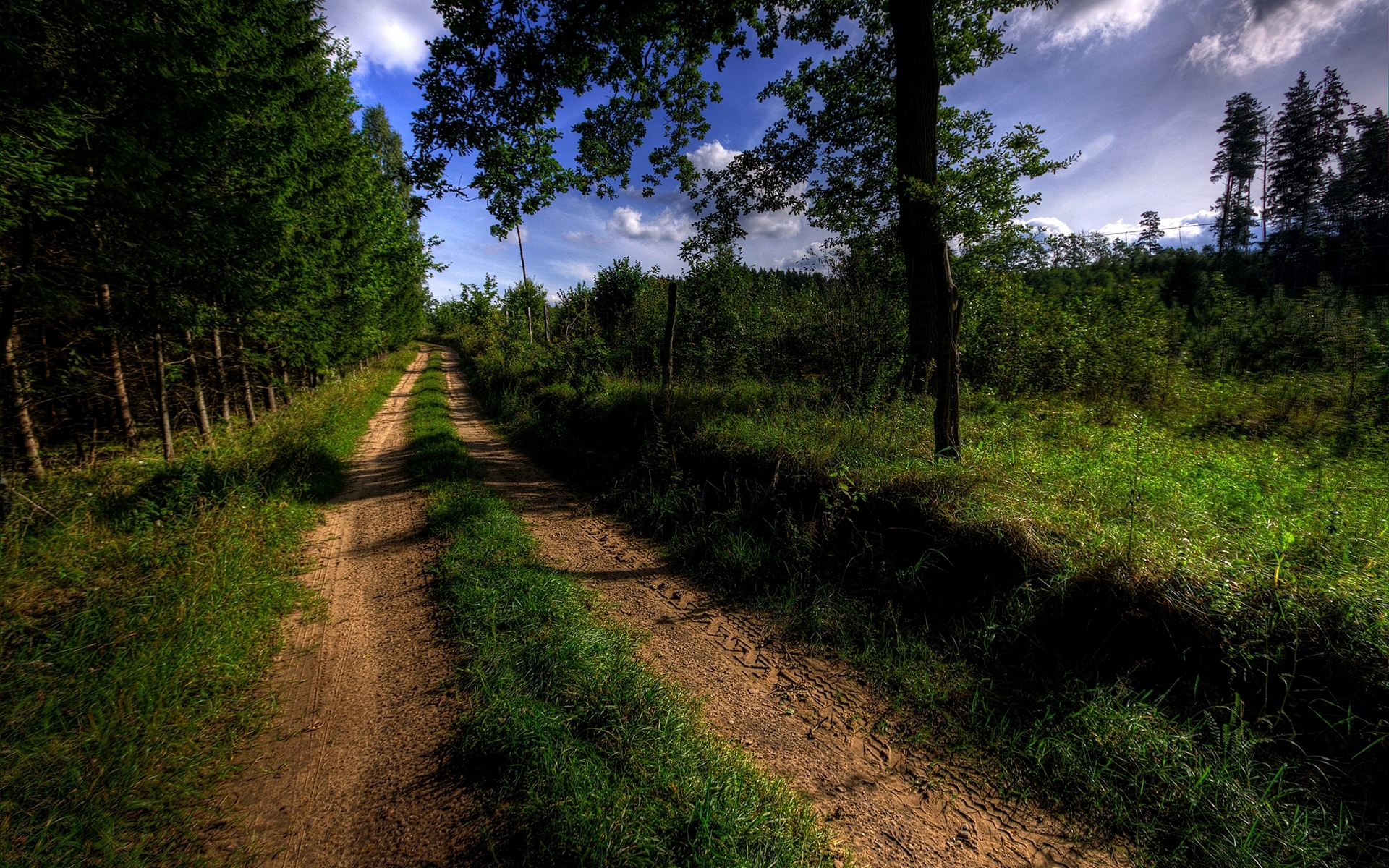 Country Road Widescreen Wallpaper