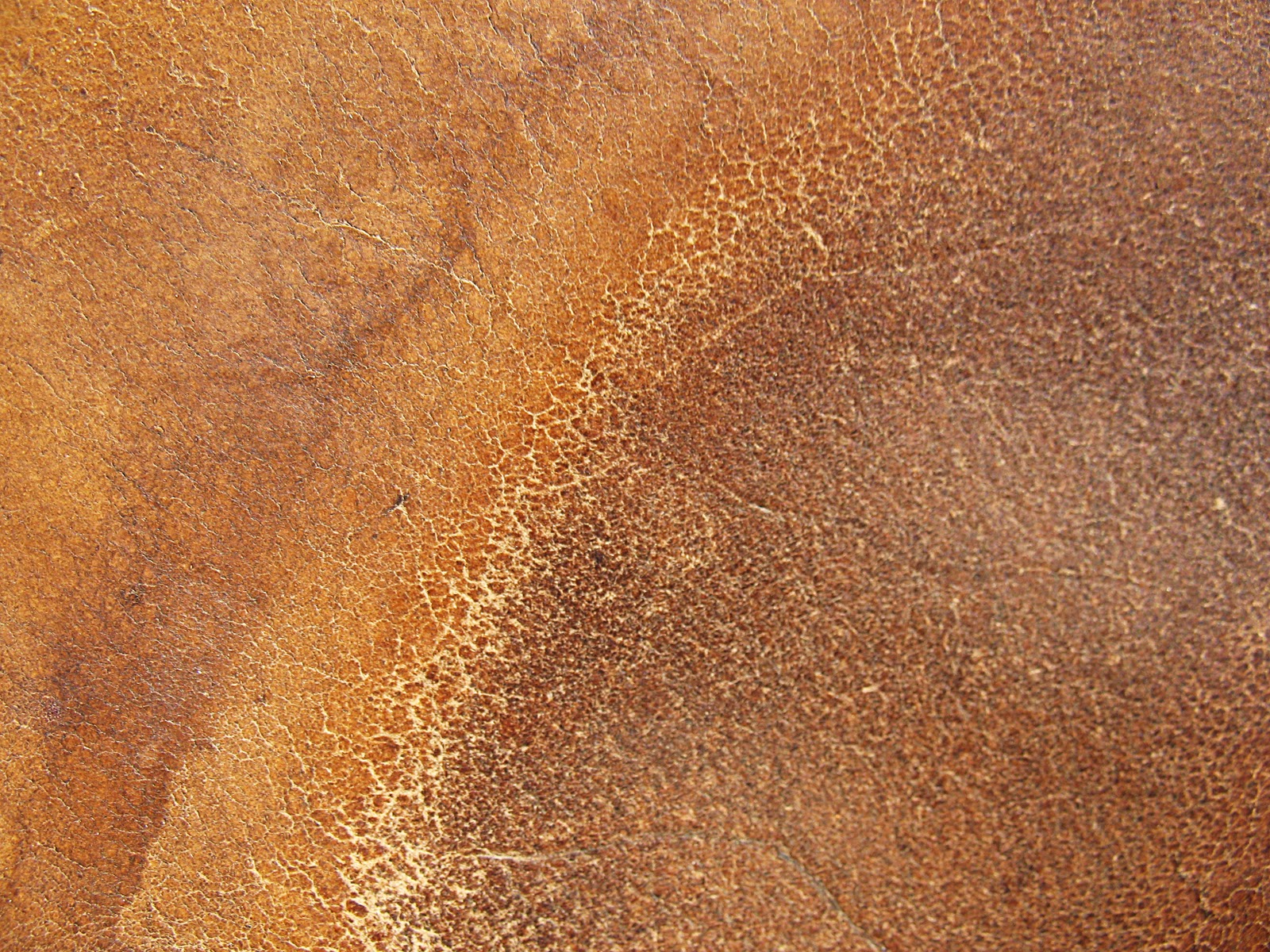 Brown Leather Texture Wild Textures Ptax Dyndns Org