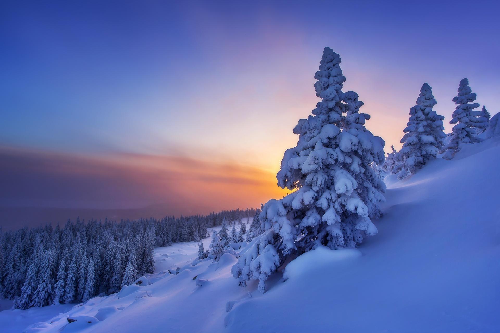 Nature Winter HD Wallpaper