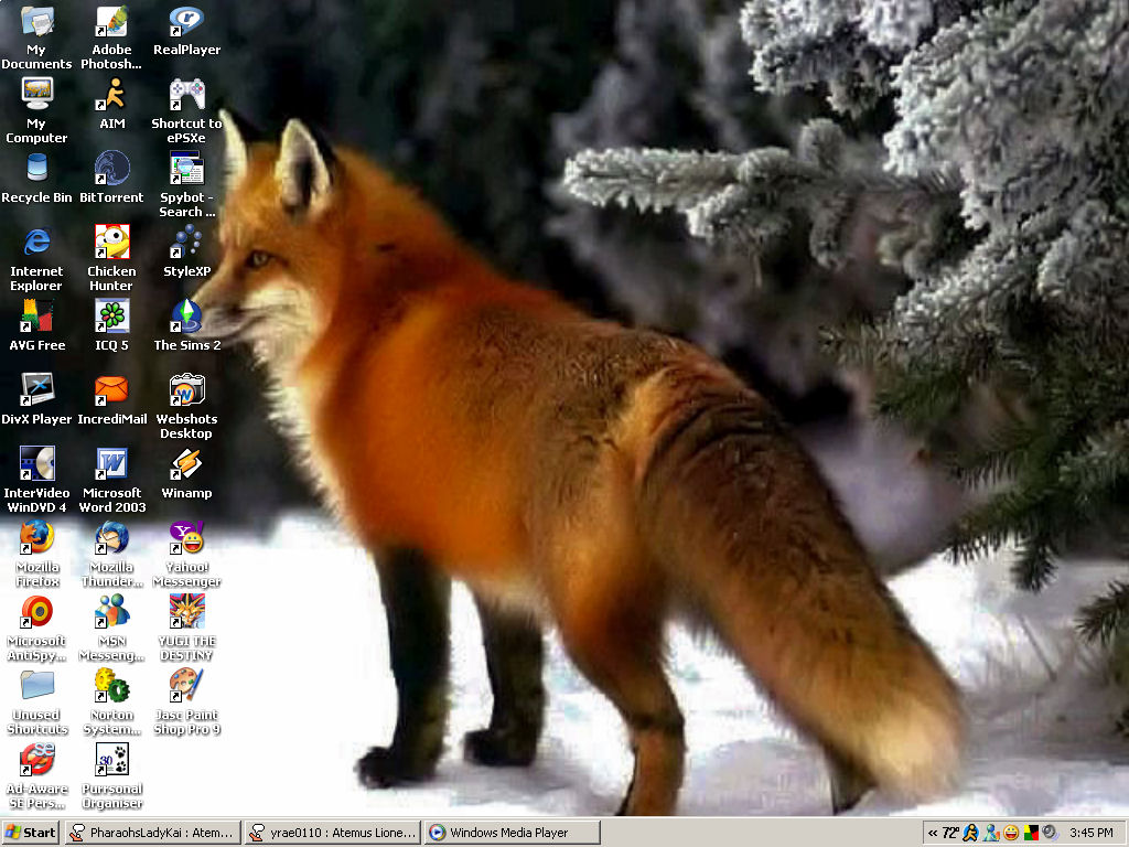 Pin Red Fox Desktop Wallpaper Pre Wallcaper