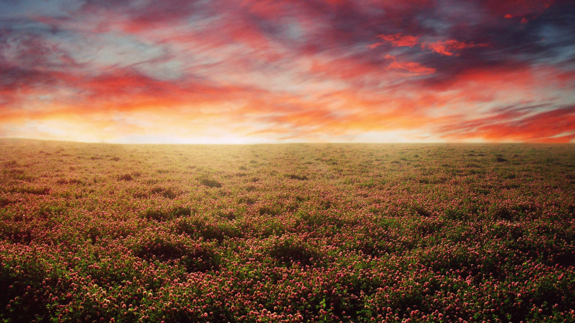Desktop Nexus Nature Background Image