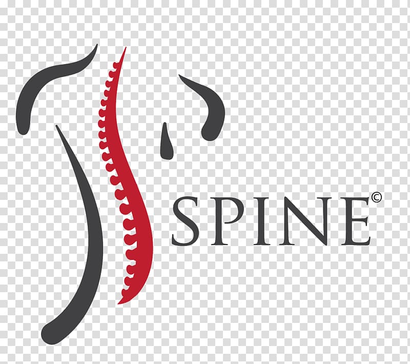 Vertebral Column Medicine Medical Diagnosis Logo Others