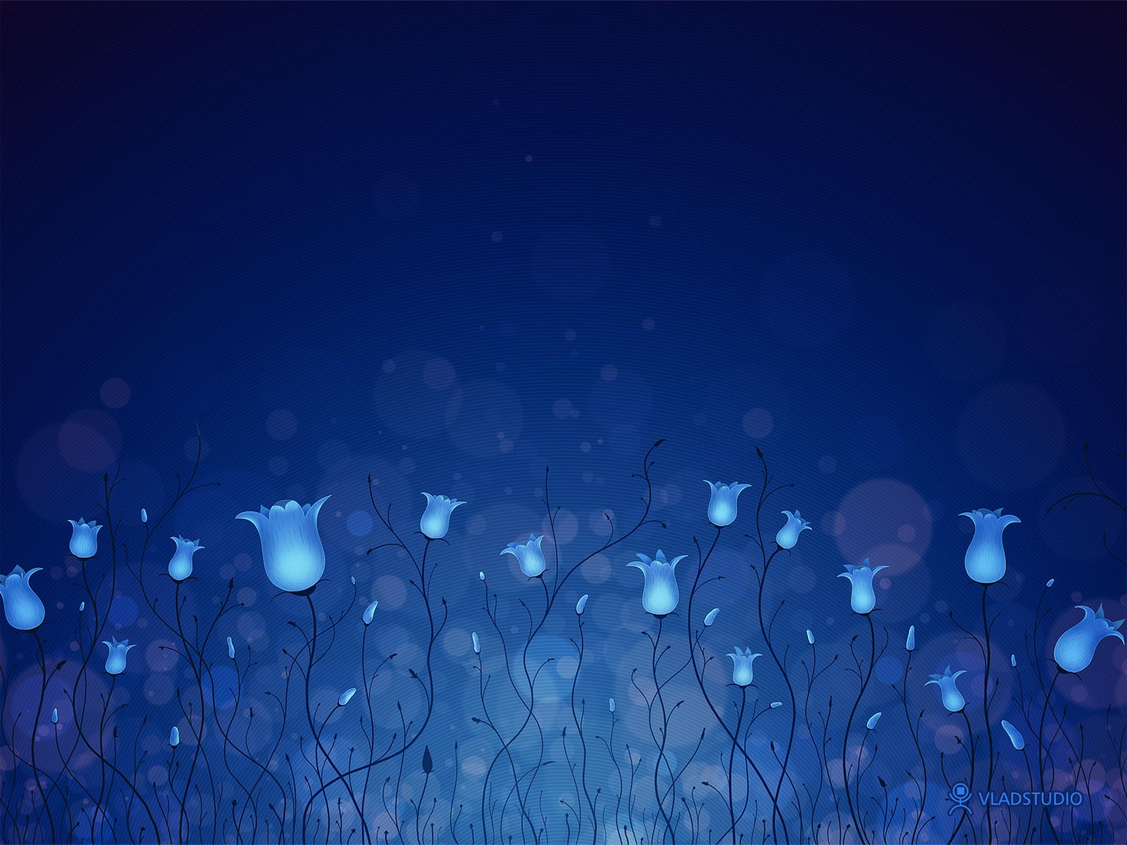 Blue Lighting Flowers Wallpaper HD