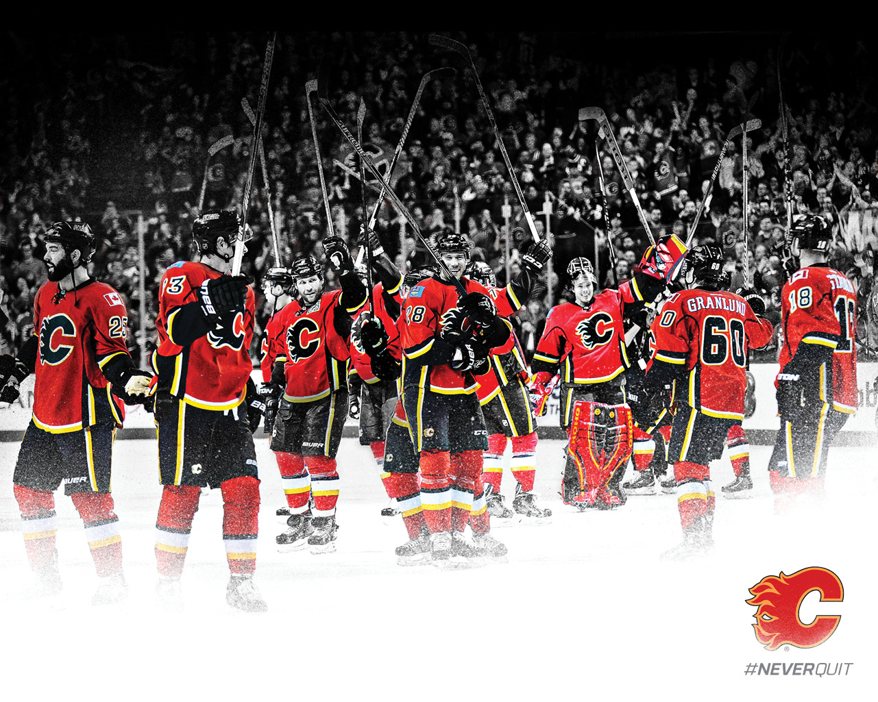 Download Calgary Flames Wallpaper   Calgary Flames   Multimedia 1281x1025