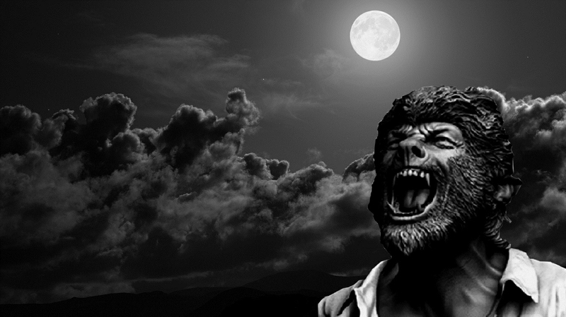 Black And White Full Moon The Wolfman Wallpaper