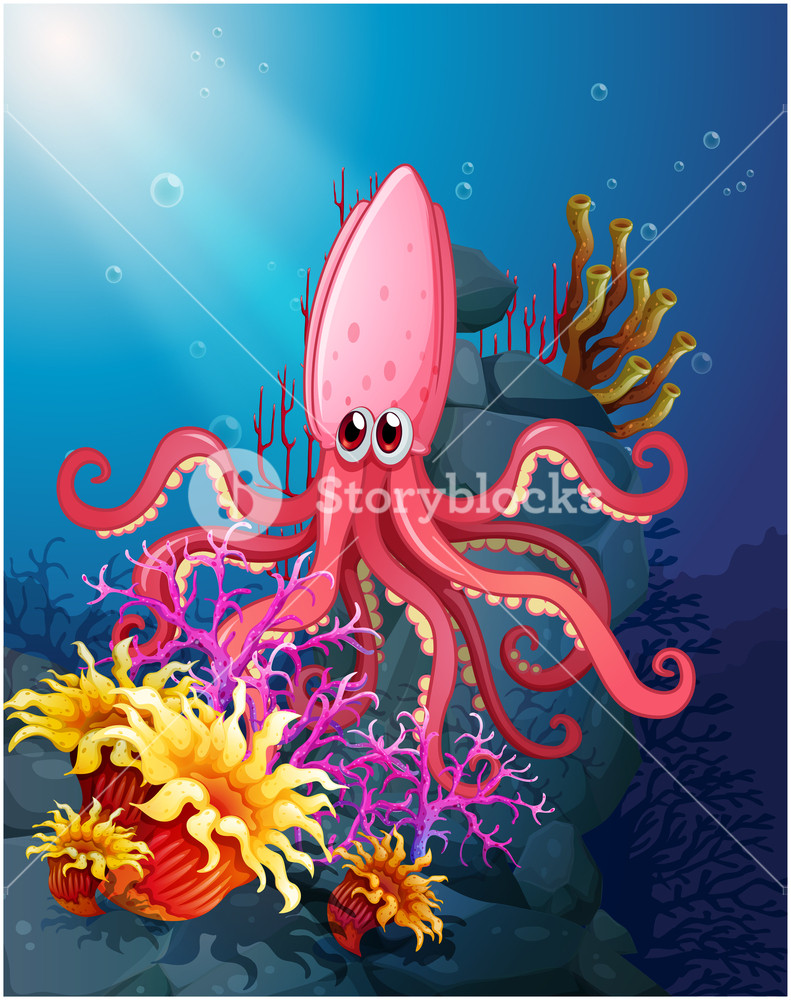 Illustration Of An Octopus Under The Sea On A White Background