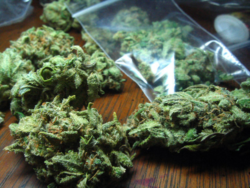 Weed Pictures On