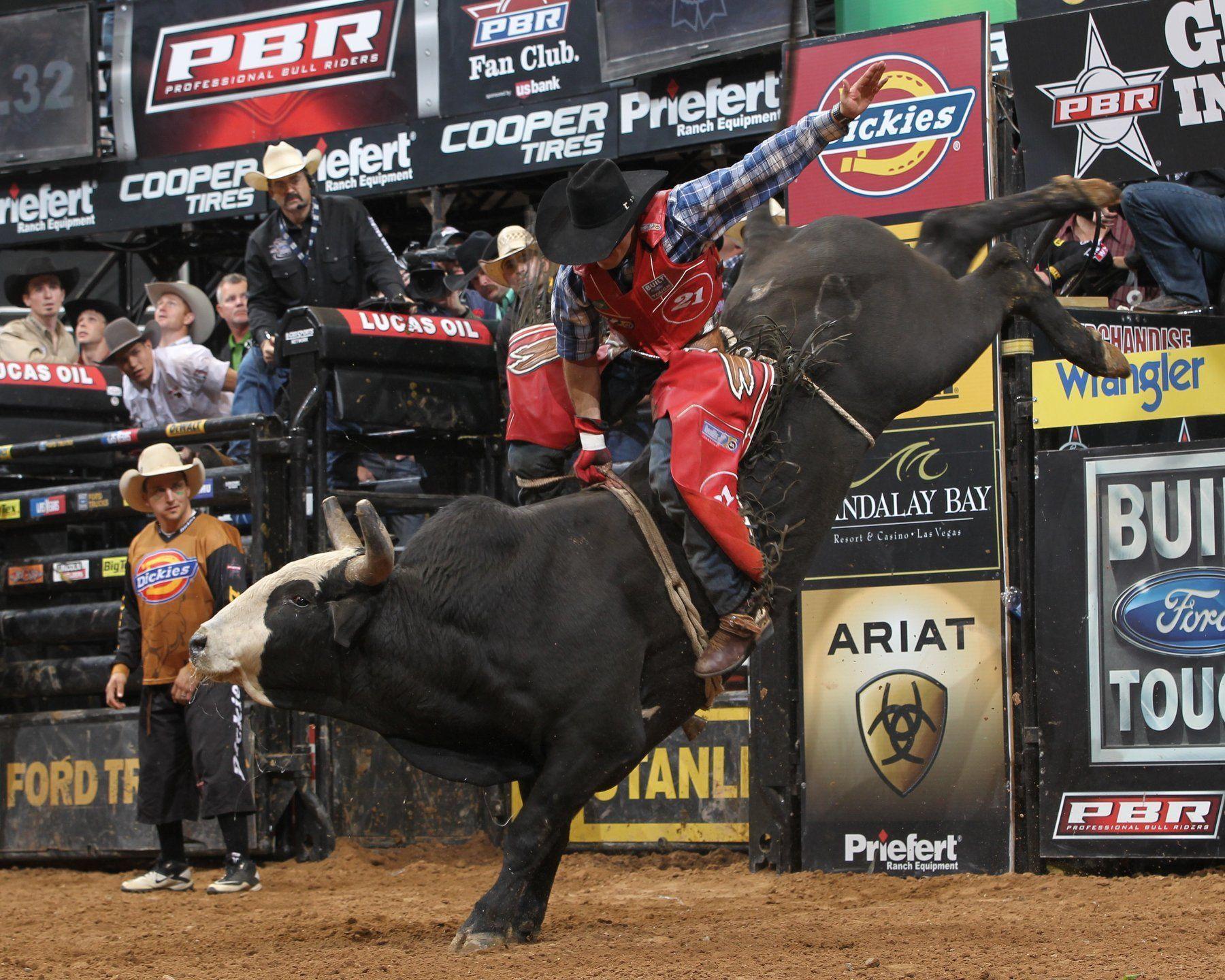Bull Riding Wallpaper