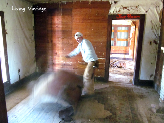 Free Download We Removed Trash Hay Old Filthy Wallpaper And Linoleum 