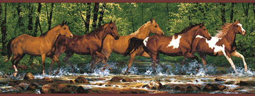 Wild Horses Western Wallpaper Border Wl5506b Stallion Scarbrough