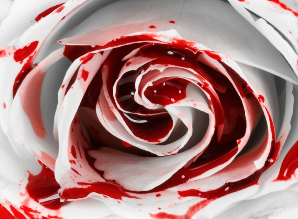 See The Beauty In Blood Vampires Photo