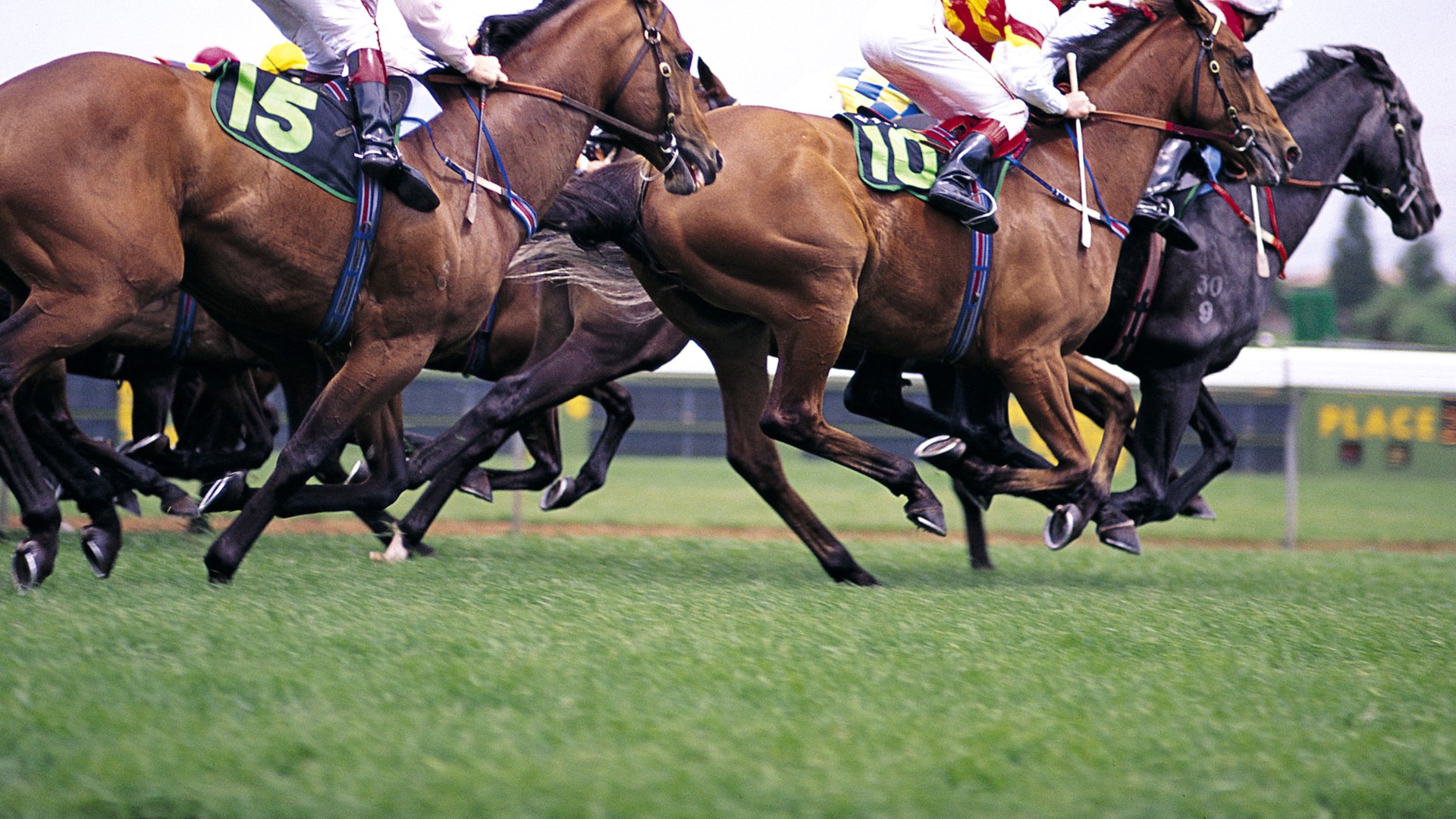 Image Gallery Horse Racing Wallpaper