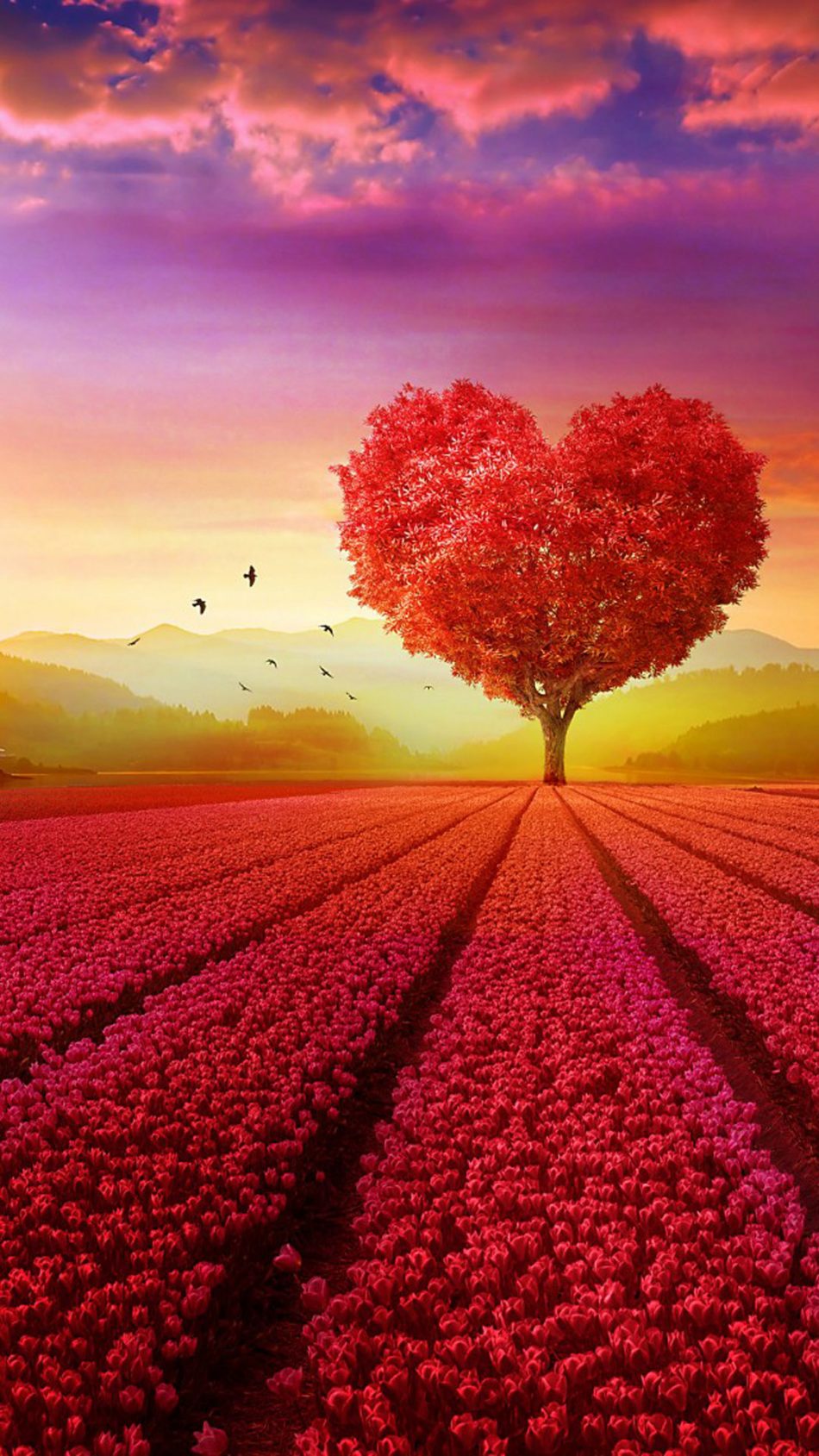 Love Heart Shape Tree Flowers Pure 4k Ultra Hd