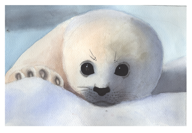 Baby White Seal Wallpaper Watercolor By