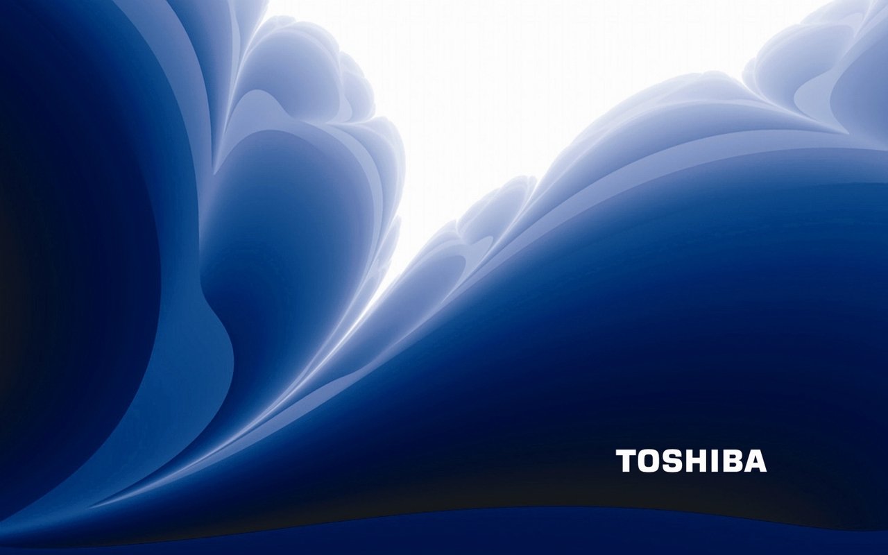 Toshiba Wallpaper X For