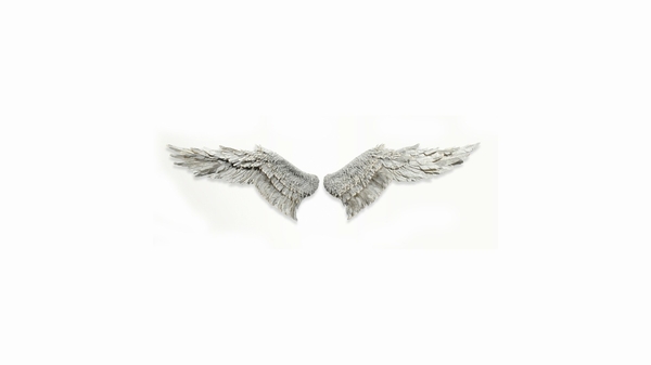 White Background Angel Wings Minimalistic