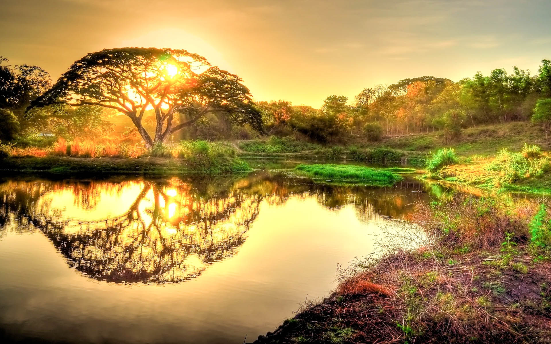 Beautiful Sunrise Wallpaper High Definition All