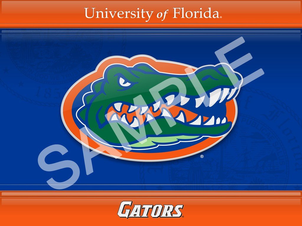 Mycolors University Of Florida Desktop Screenshot