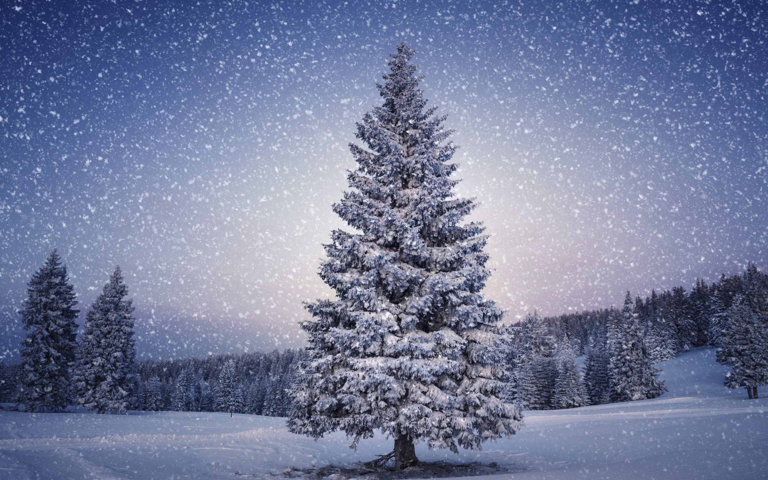 Snowy Christmas Tree HD Wallpaper