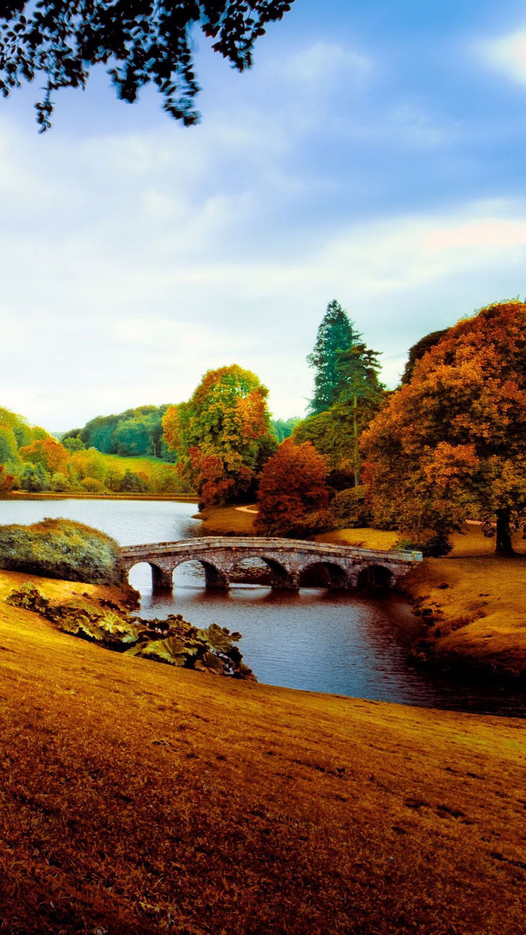 Nature Mobile Wallpaper