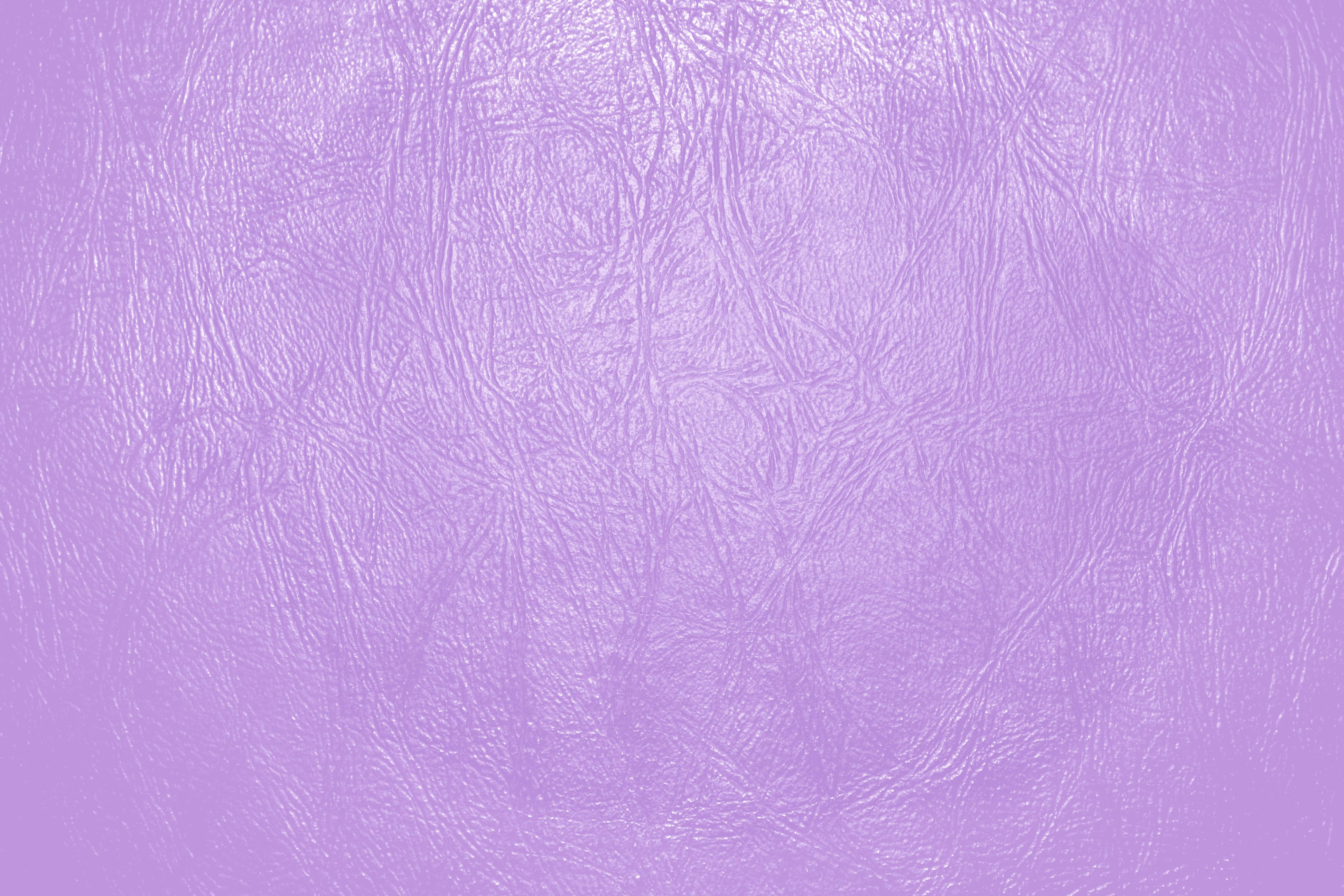 Solid Light Purple Wallpaper