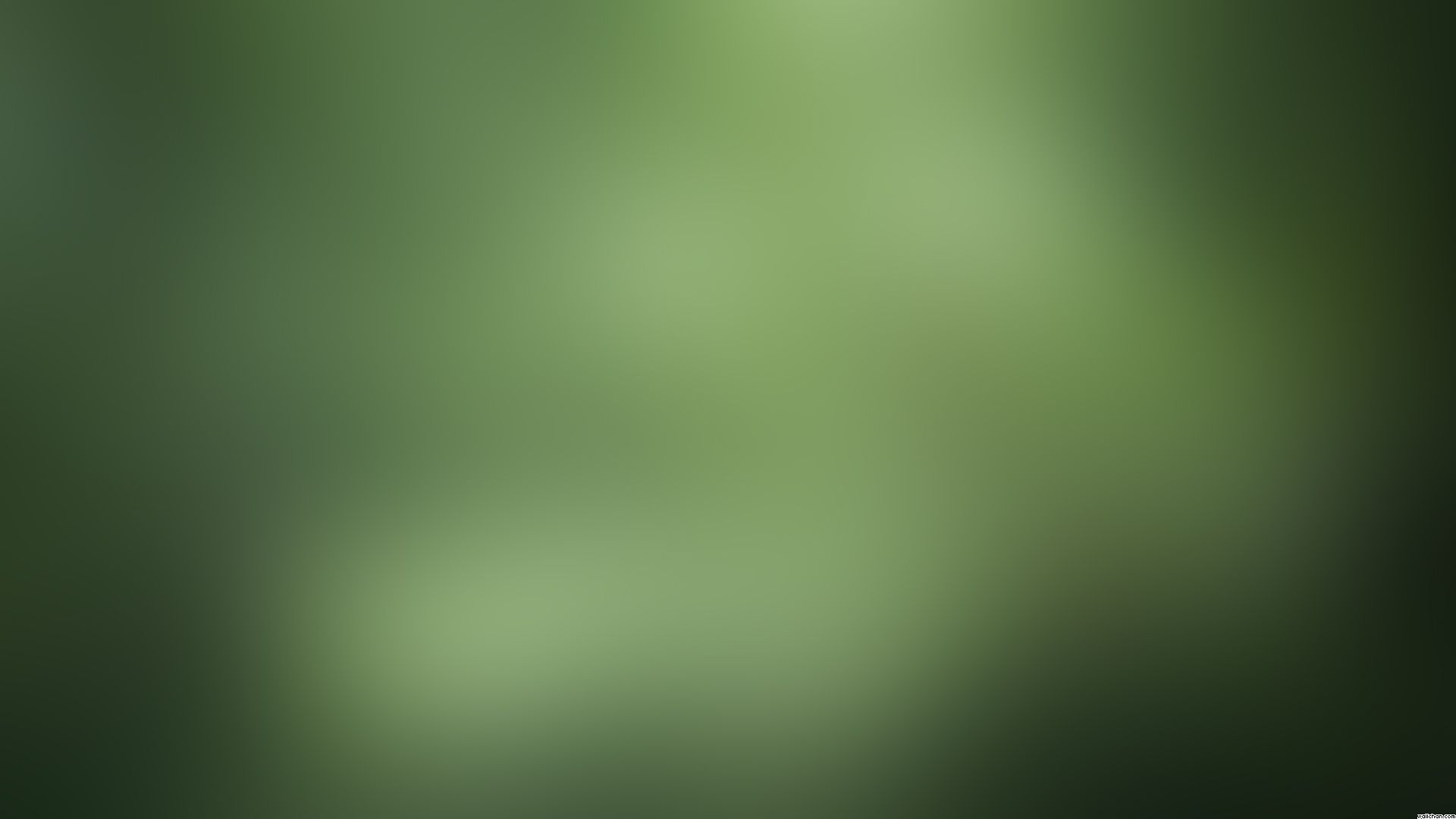 New Gallery Of Grey And Green Wallpaper All