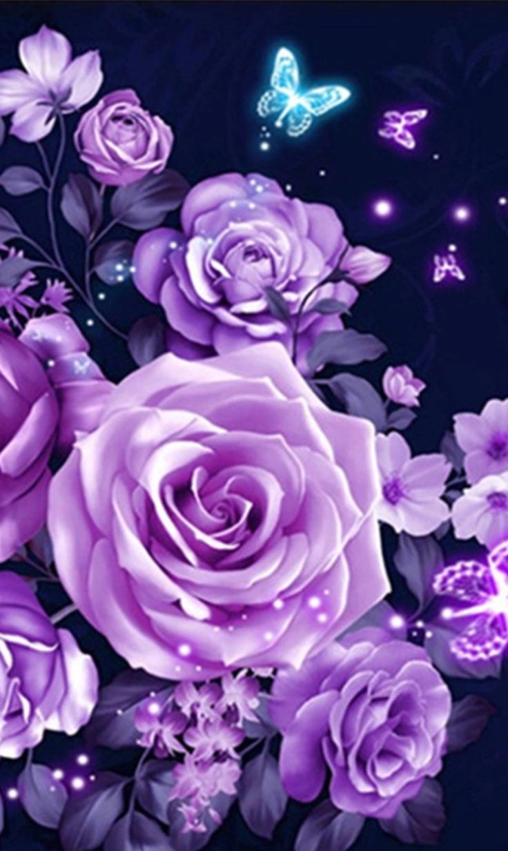 Roses floral purple butterflies Purple roses wallpaper