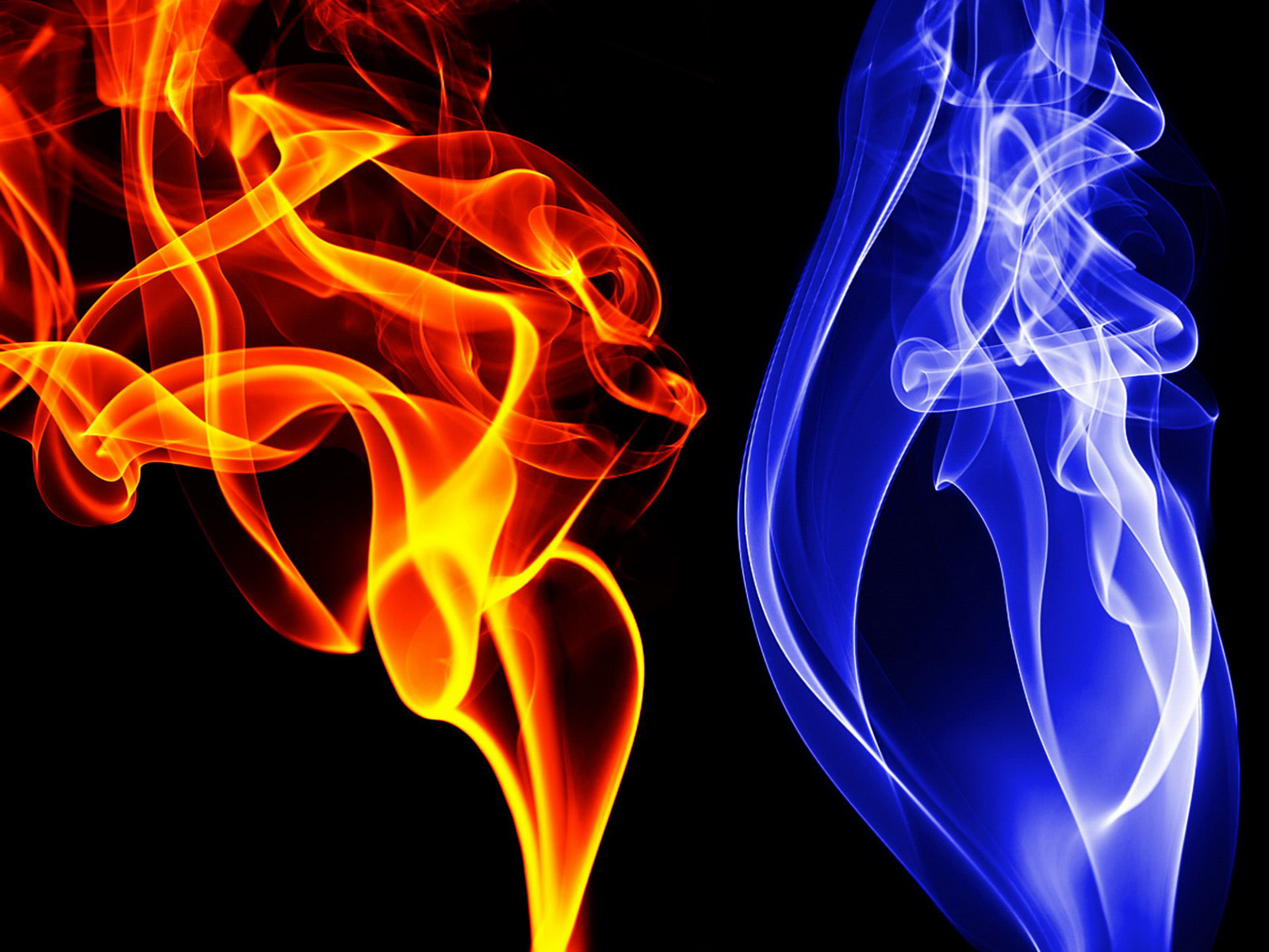 Red Blue Flames Abstract Desktop Wanted Wallpaper