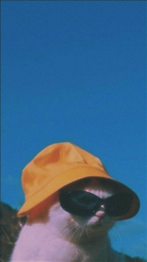 Cool Vibes Wallpaper S