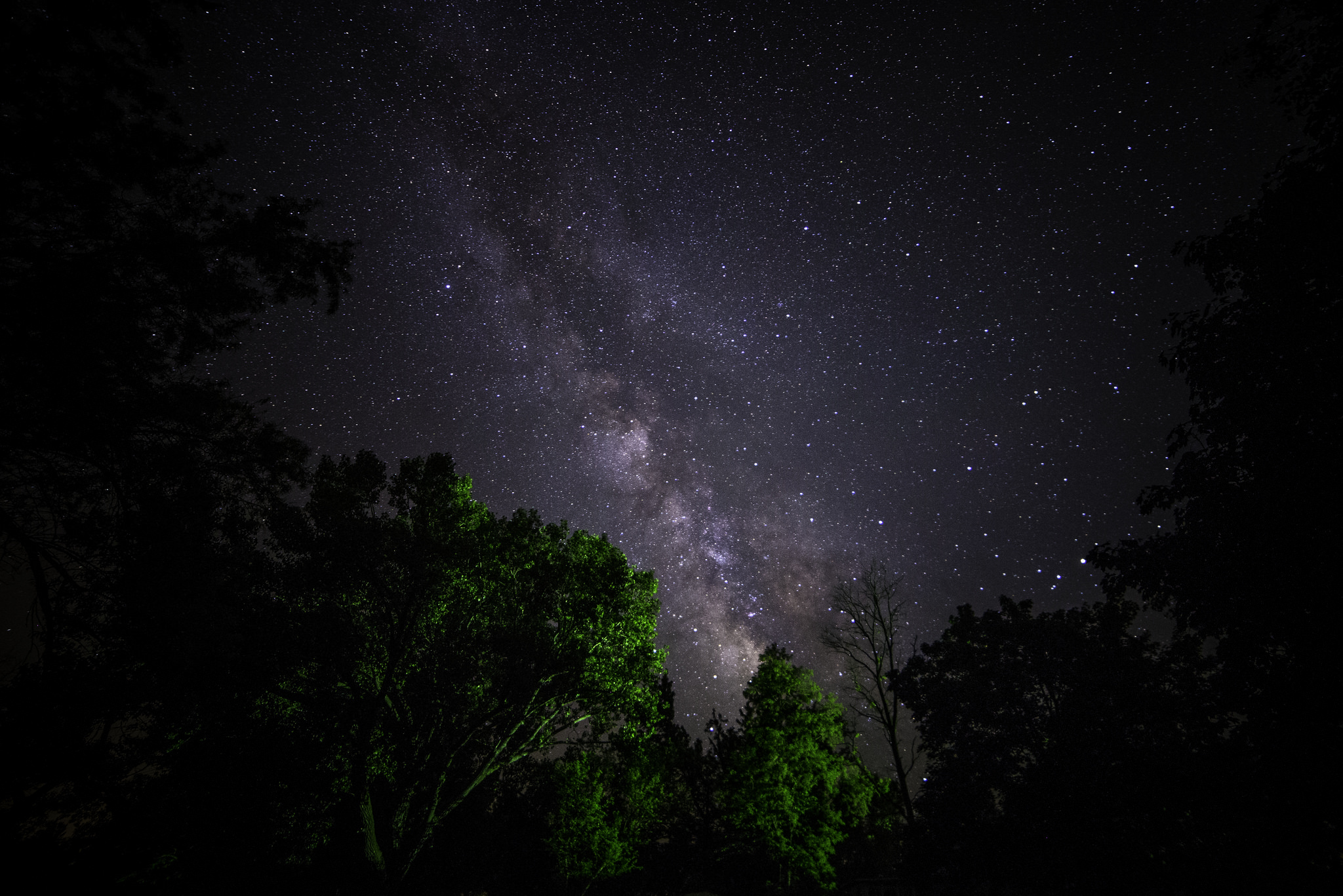 Stars Night Space Milky Way Trees Wallpaper Photos Pictures