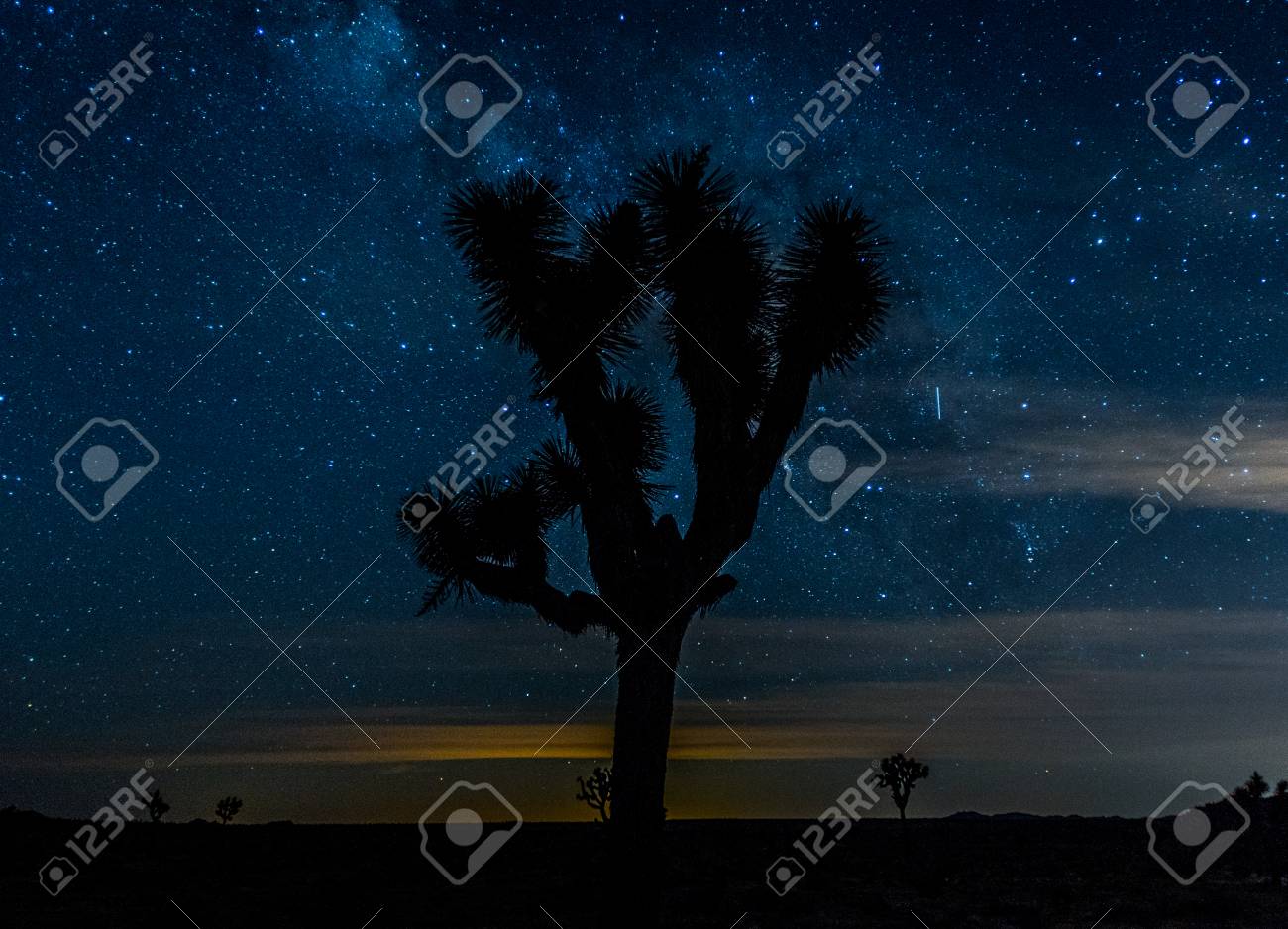 Centered Joshua Tree On Starry Night With Subtle Milky Way In