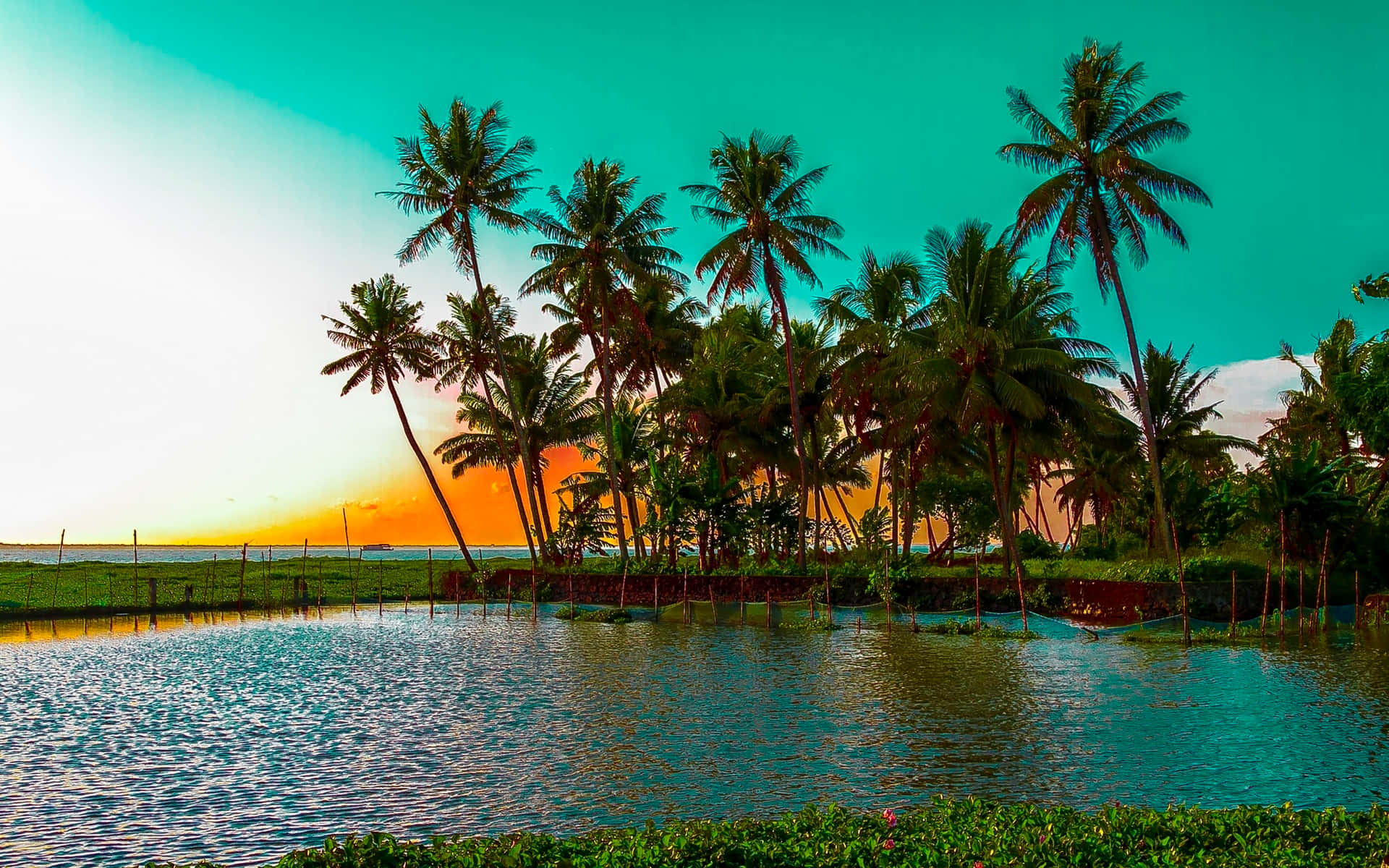 Palm Tree Desktop Wallpaper