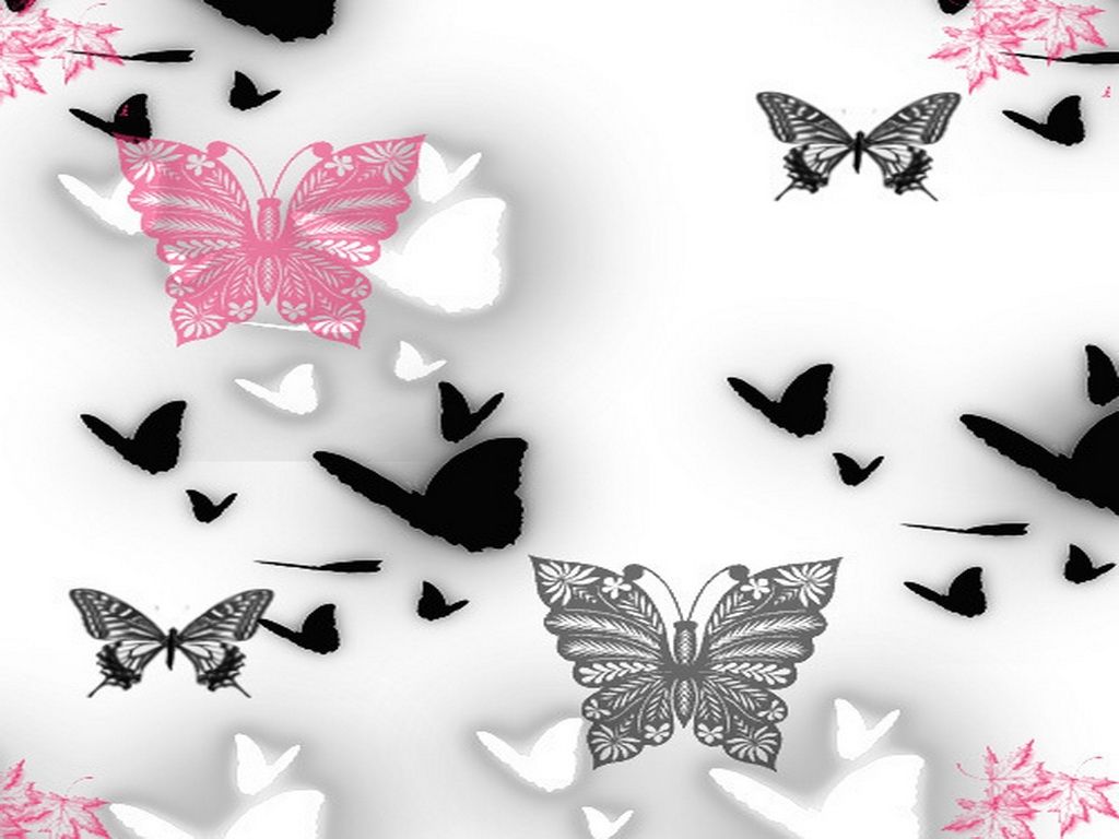 Pink N Black Butterflies Desktop And Mobile Wallpaper Wallippo