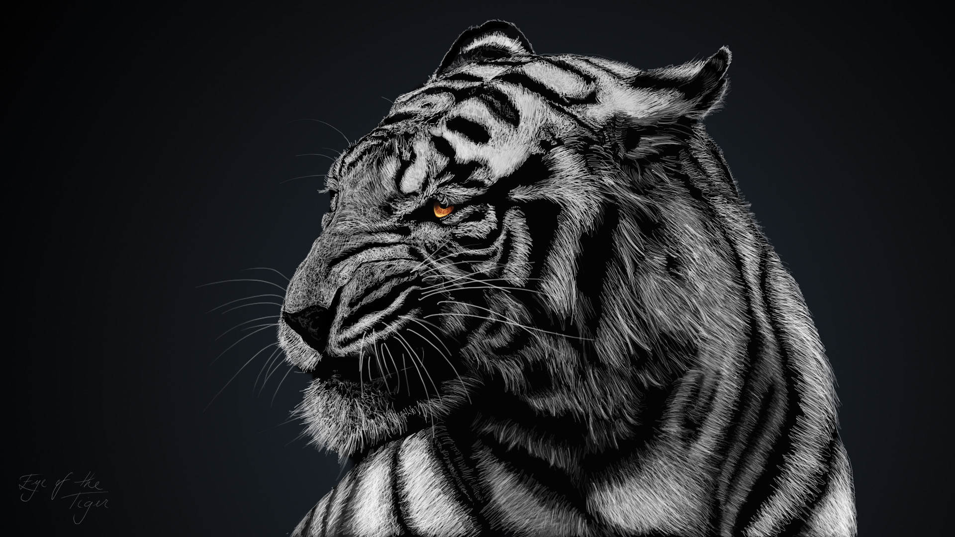 Striking black and white close-up of a tiger's face with intense amber eyes, against a dark background