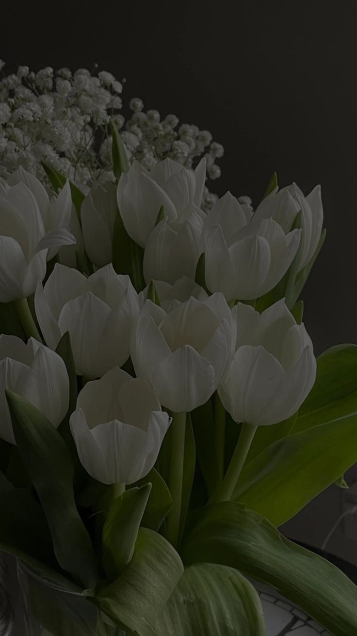 Pin Af Madamell P Tulips Wallpaper