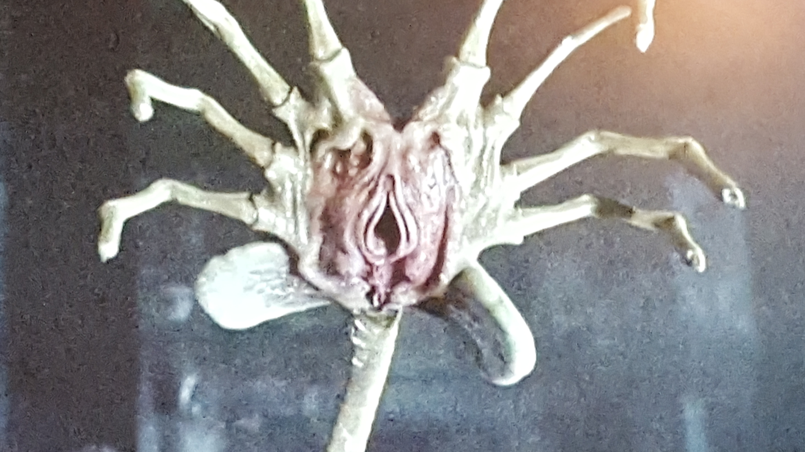 Facehugger From Aliens V Predator On Pause Um Wait What