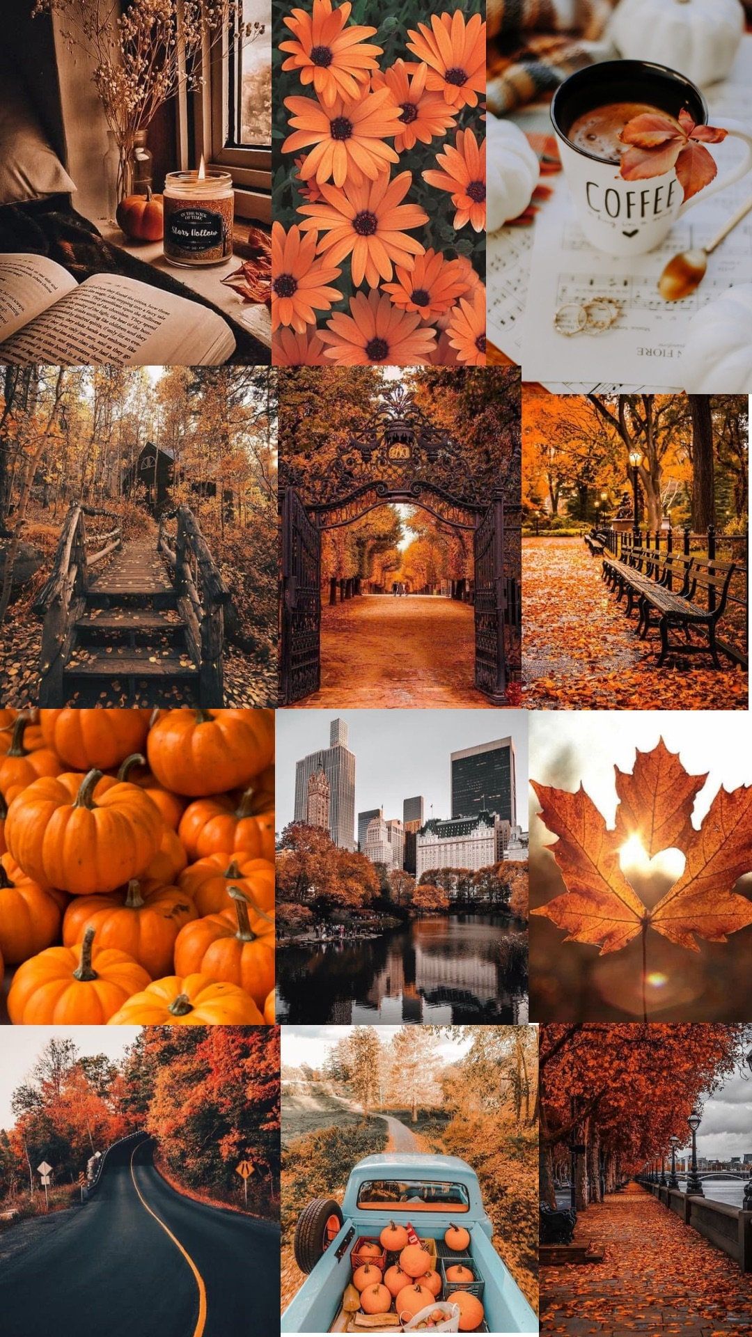 Fall Phone Wallpaper