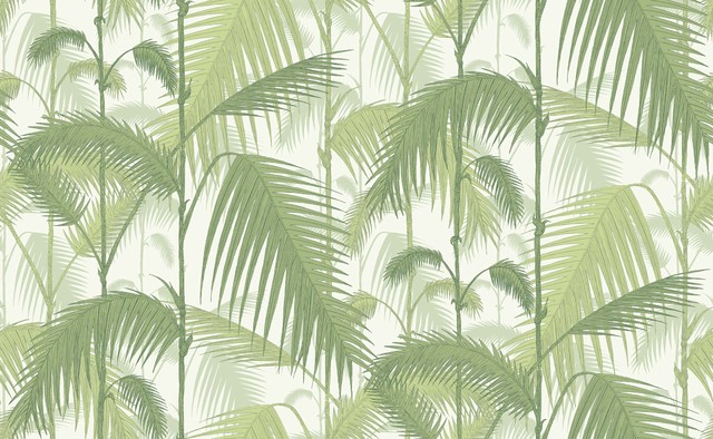 Palm Jungle Wallpaper Traditional By Cole Son