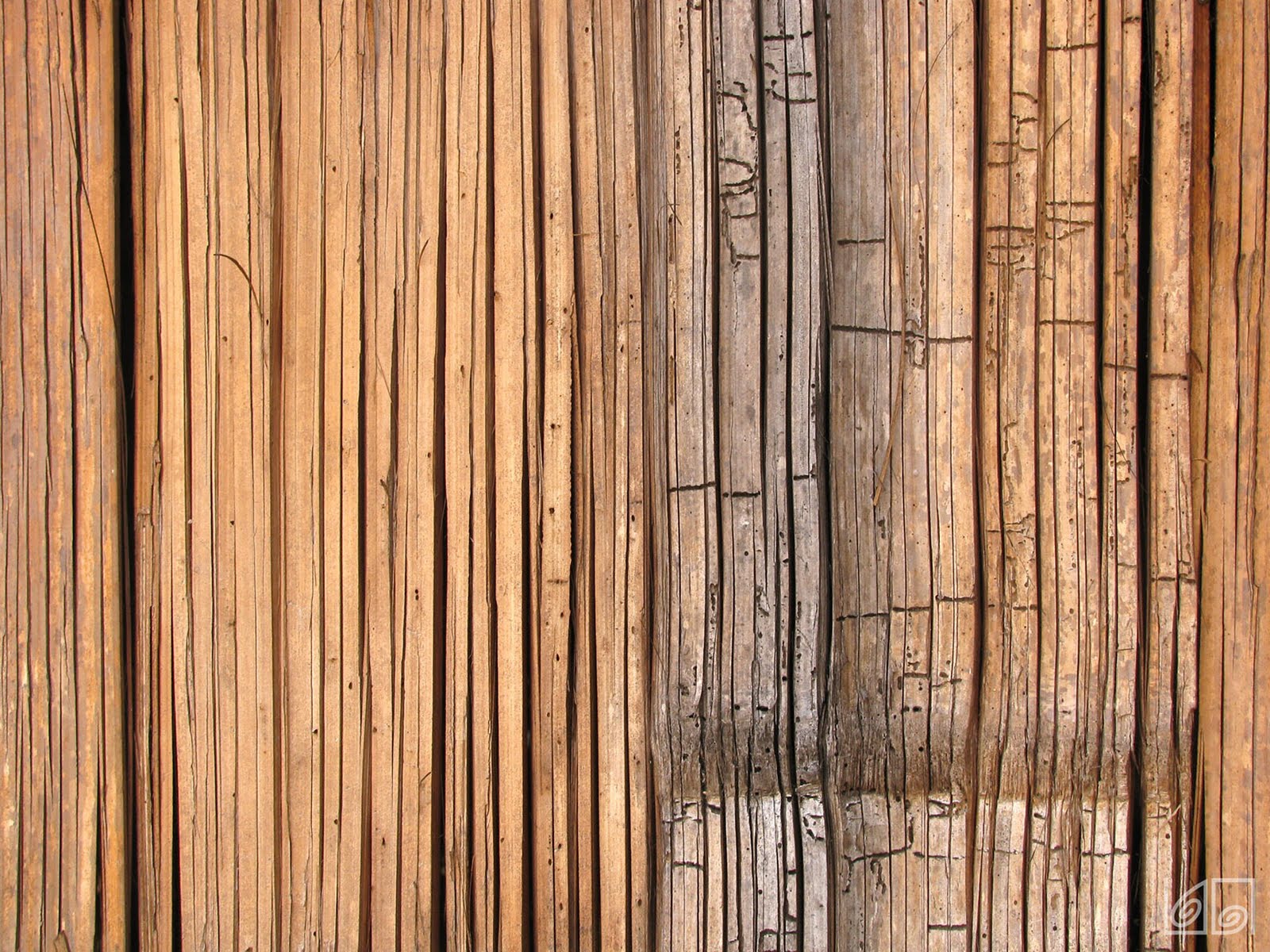 Текстура дерева из бамбука