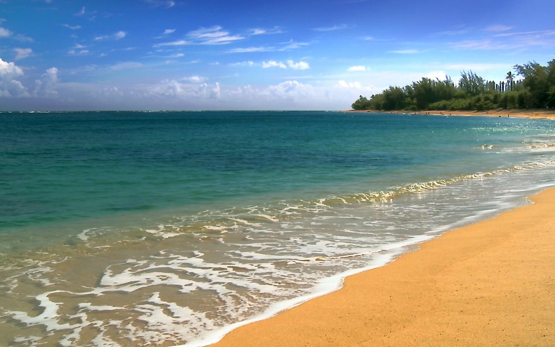 Calm Beautiful Beach In Hawaii Desktop Wallpaper