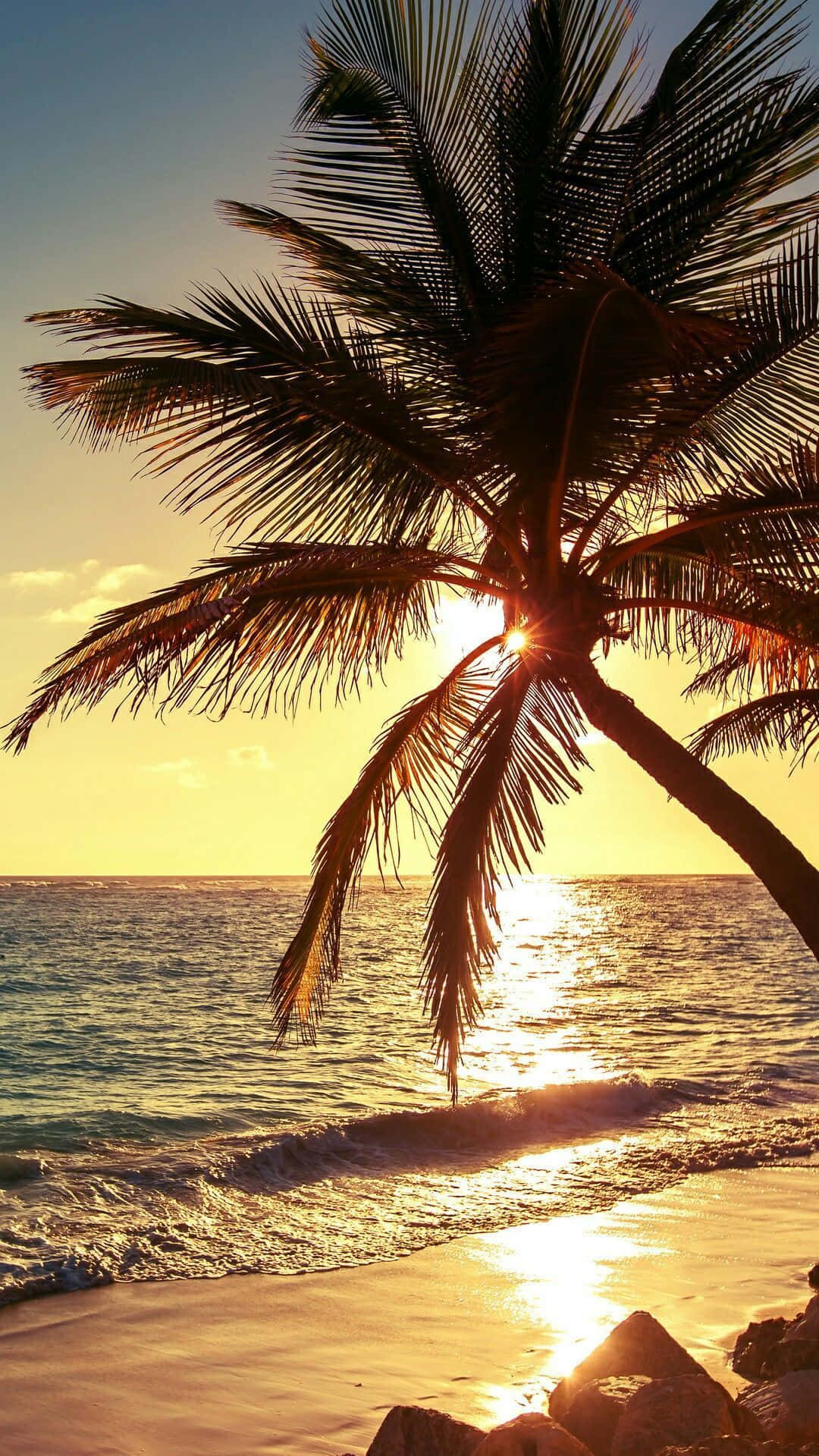 Palm Tree Beach Wallpaper