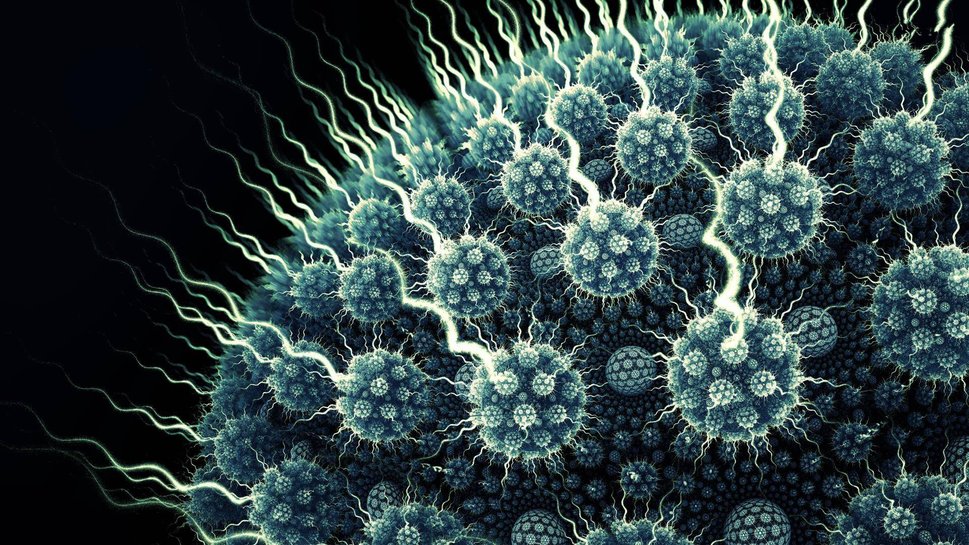Virus Bacteria Wallpaper