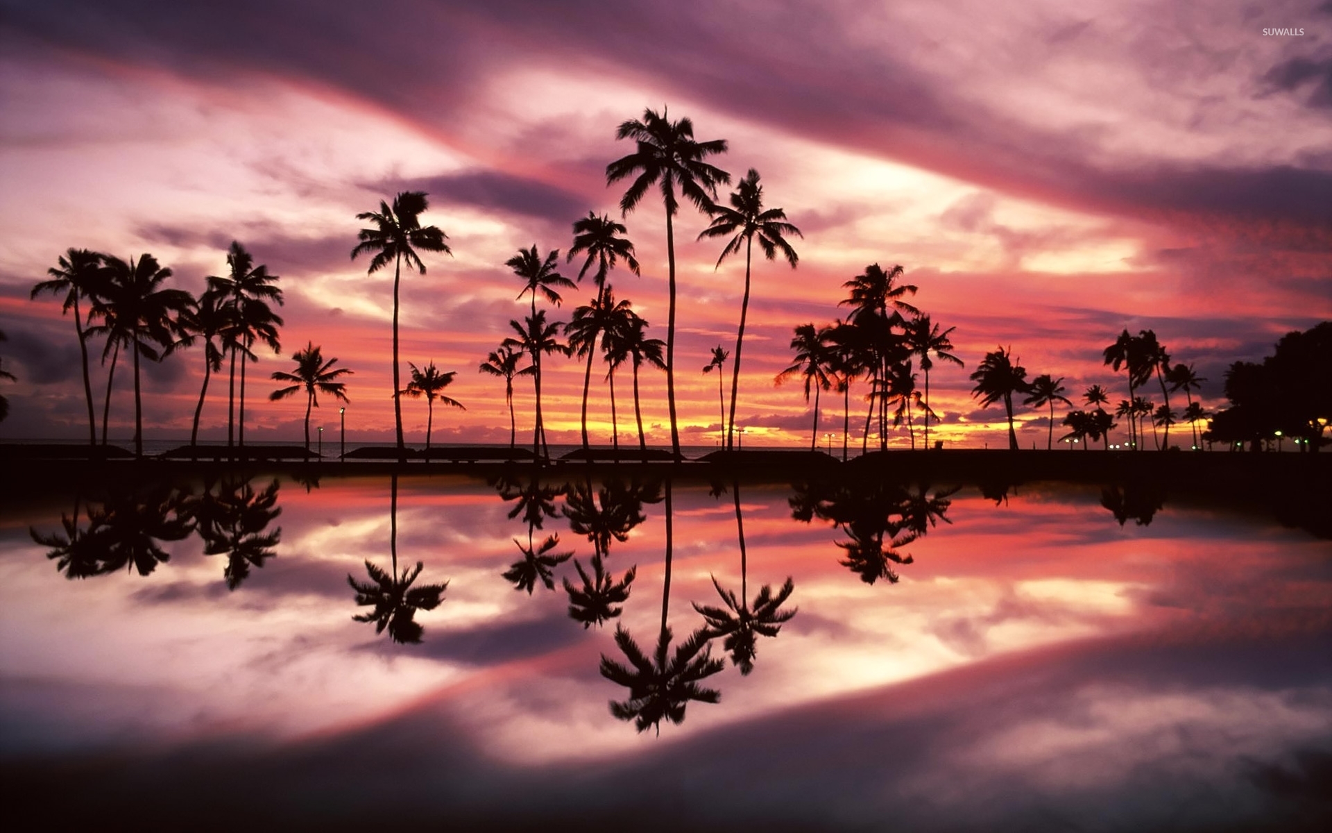 Beautiful Sunset Sky Behind The Palm Trees By Ocean Wallpaper