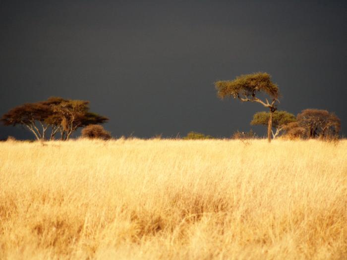 Ggarfield Wallpaper Pack