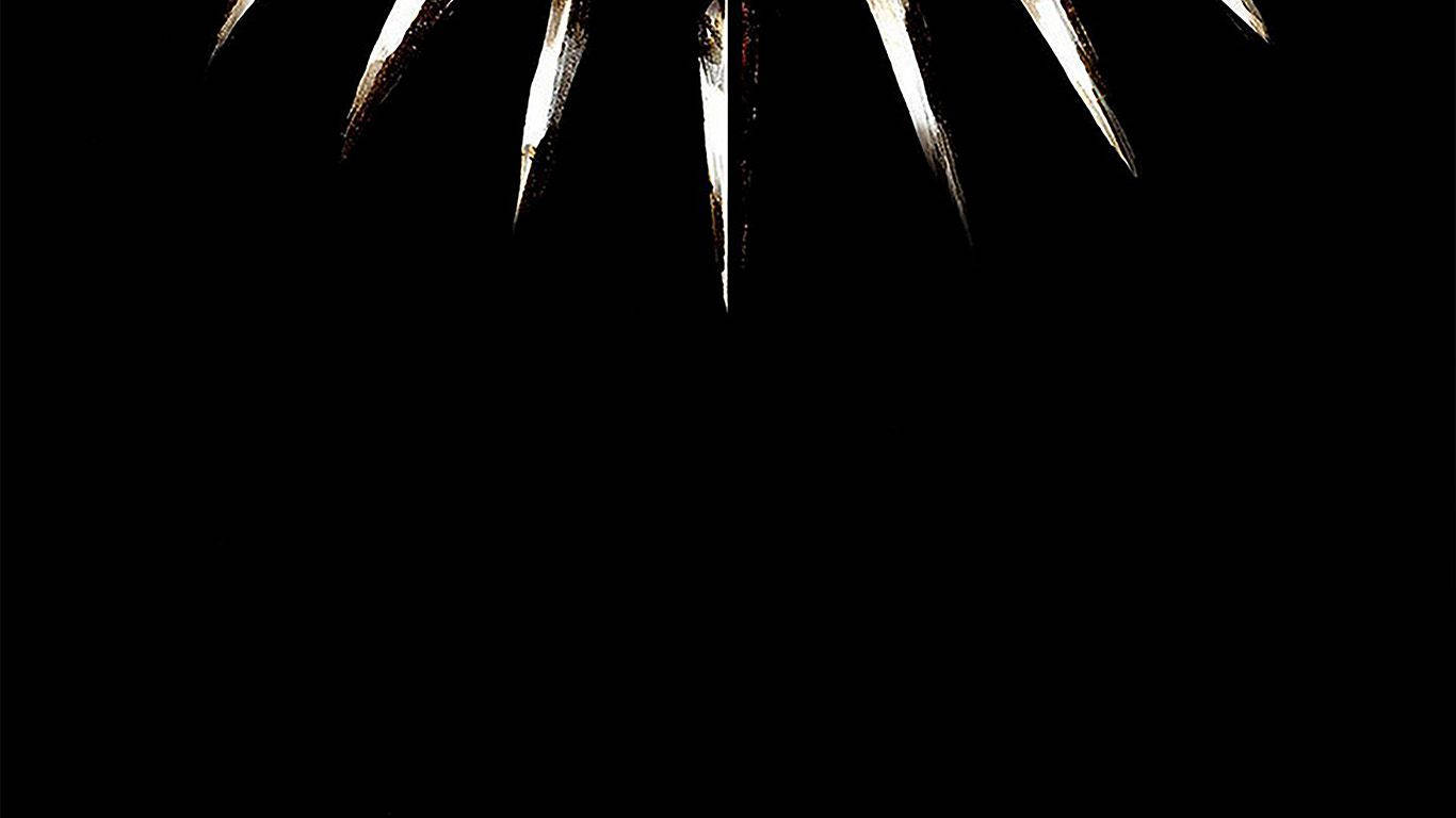 Simple Black Panther Claw Necklace 6mjsq3fp5iilv54j Wallpaper