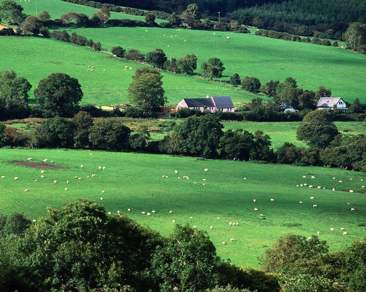 Irish Countryside Wallpaper